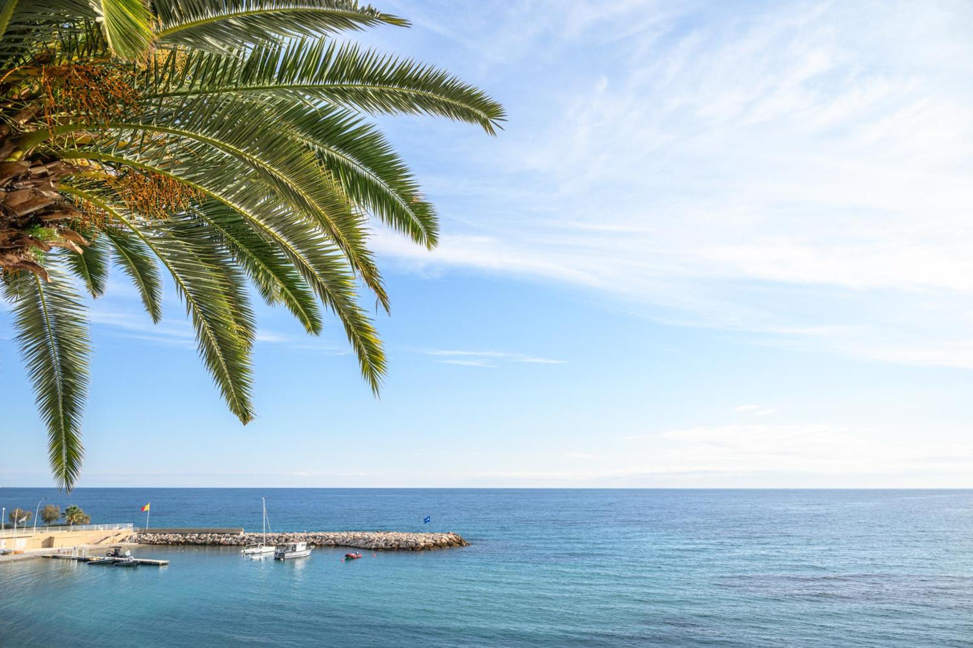 Le Coq Ligures - Air Conditioning - Seafront - Wifi Apartment *